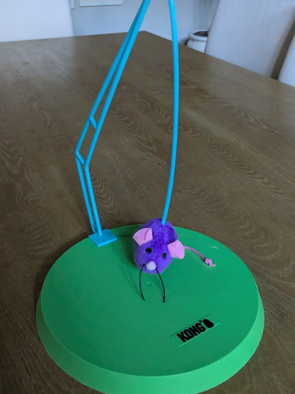 Kong Purple Plush Mouse on Green Play Base